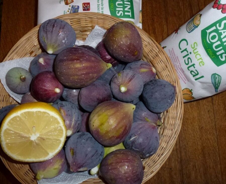 Préparation confiture de figues