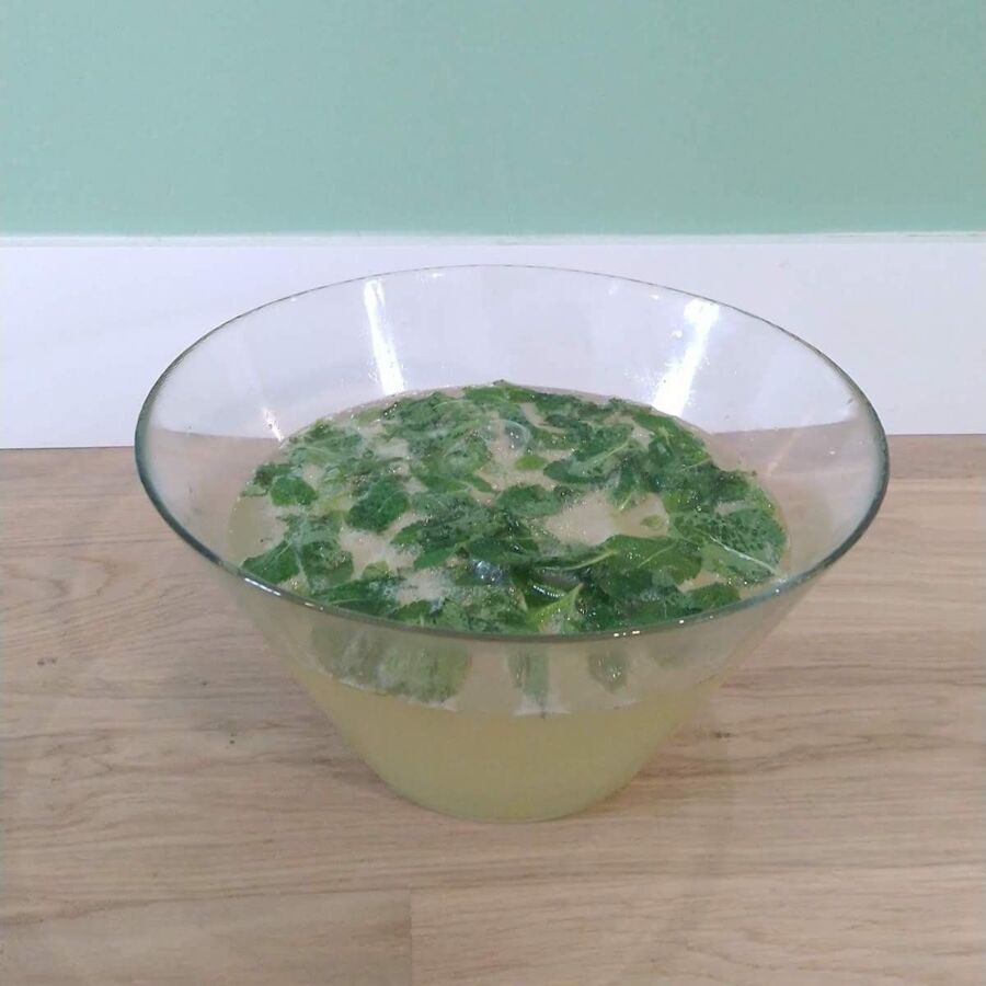 Recette mojito groupe