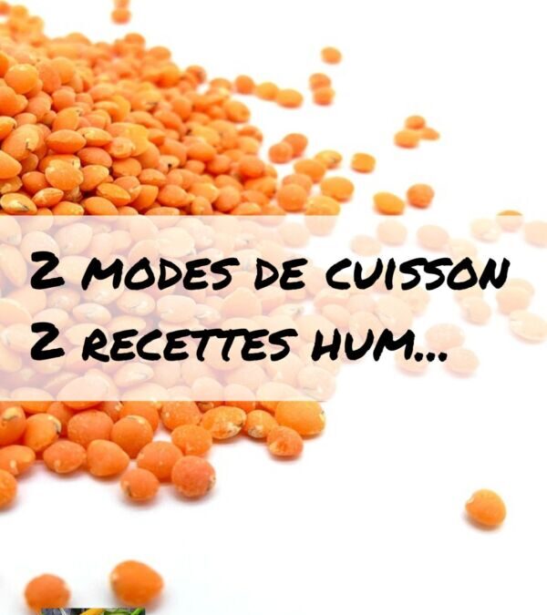 Comment cuisiner les lentilles corail au lait de coco et réussir leur cuisson simplement