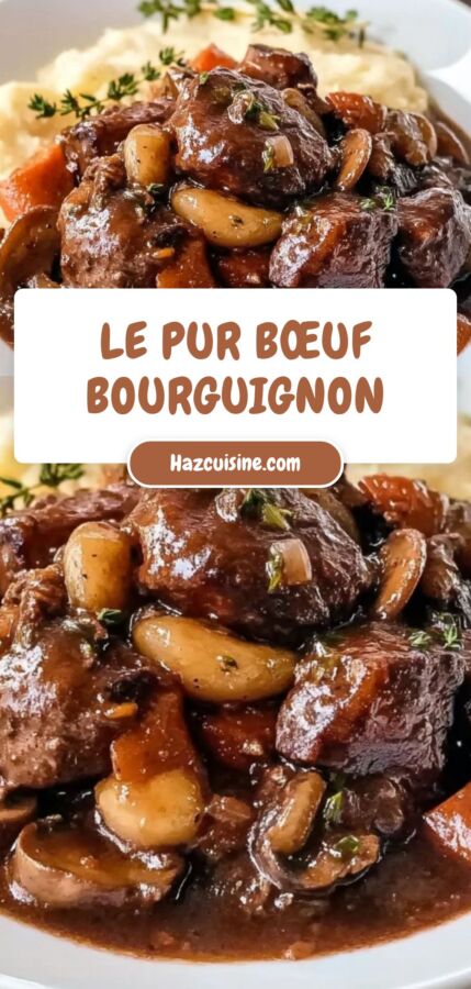 Plat traditionnel boeuf bourguignon