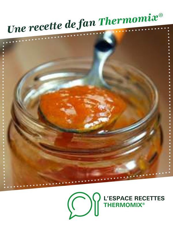 Confiture abricot maison Thermomix