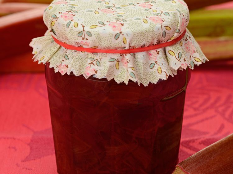 Rhubarbe Thermomix maison