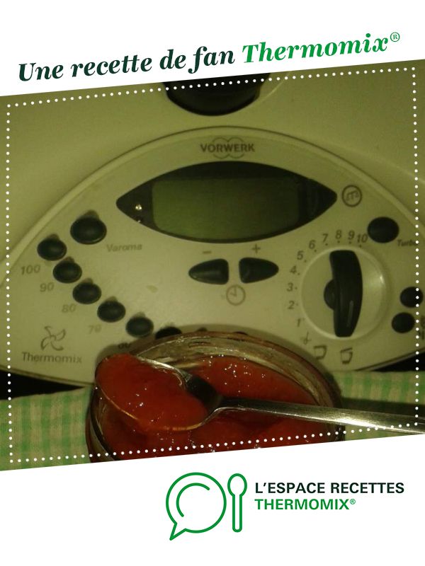 Rhubarbe Thermomix maison