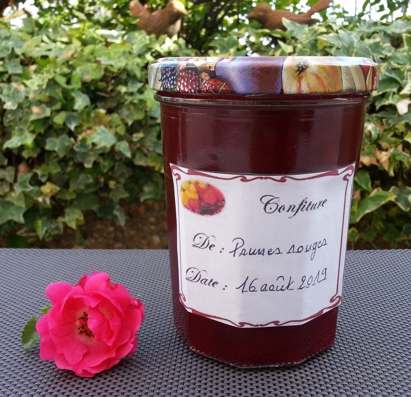 Préparation Thermomix confiture prune