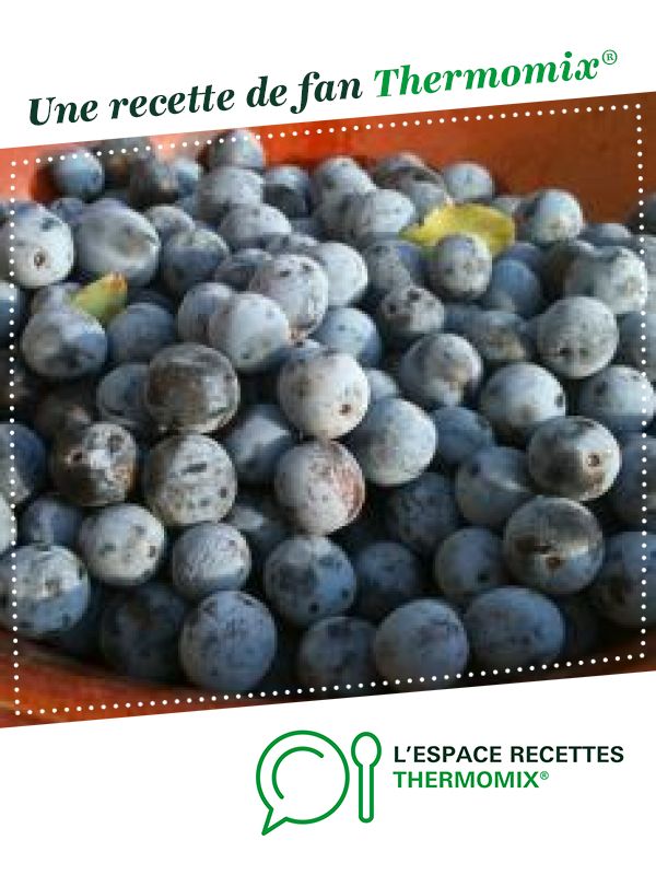 Recette confiture prune Thermomix