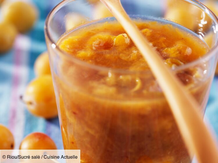 Mirabelle Thermomix facile