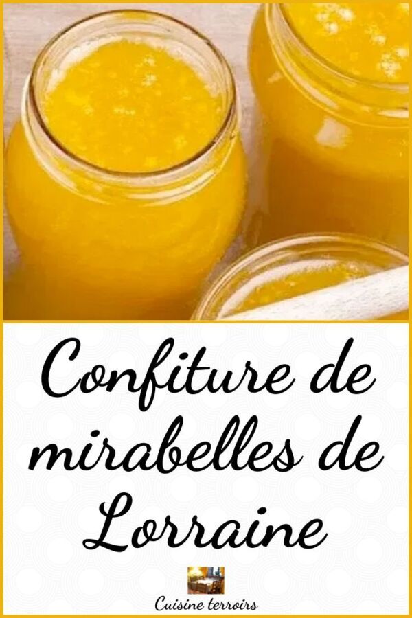 Mirabelle Thermomix facile