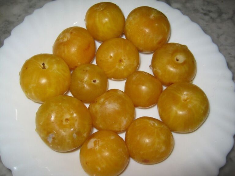 Prune jaune confiture : Un goût unique