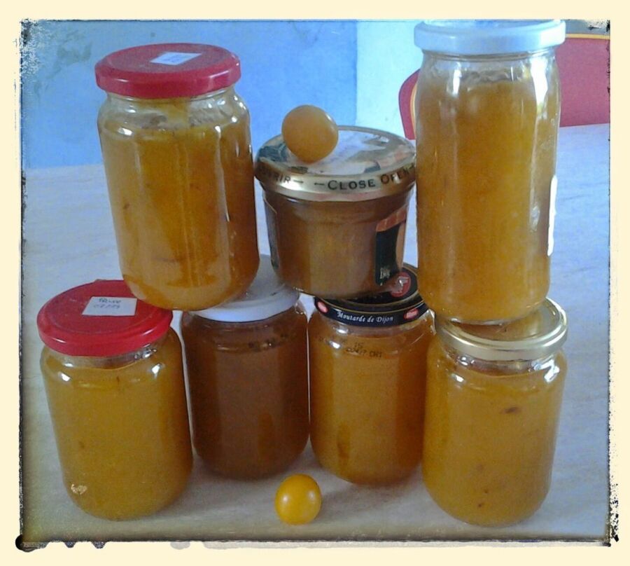 Confiture artisanale de prune jaune