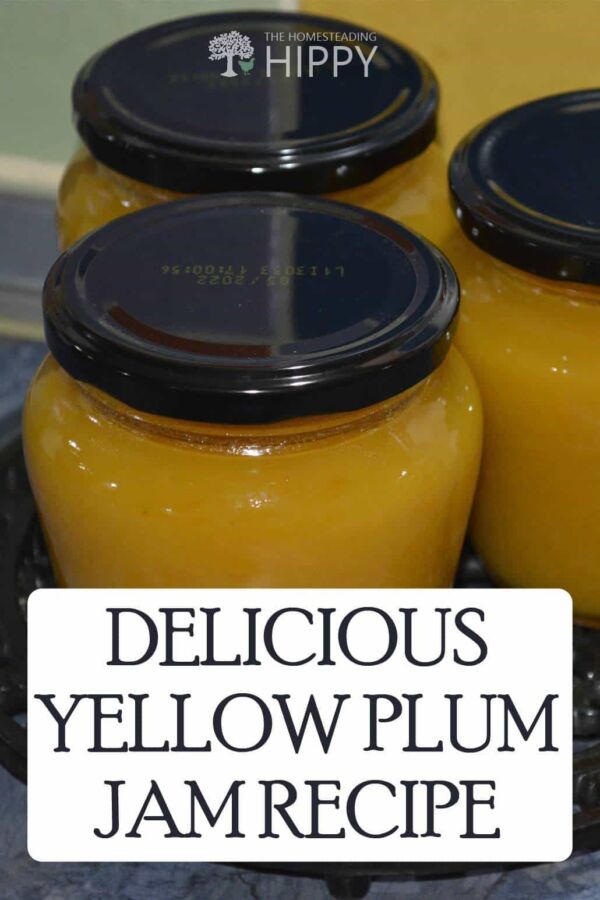 Confiture artisanale de prune jaune