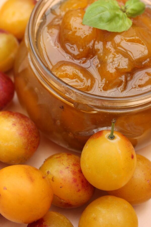 Saveur unique de prune jaune confiture
