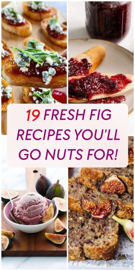 Plat créatif figues fraîches