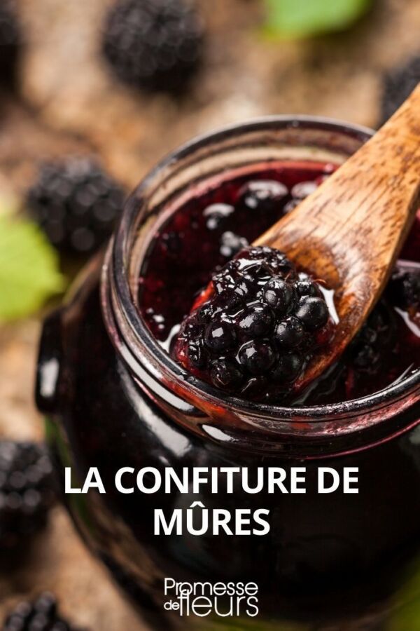 Délicieuse confiture mûres maison